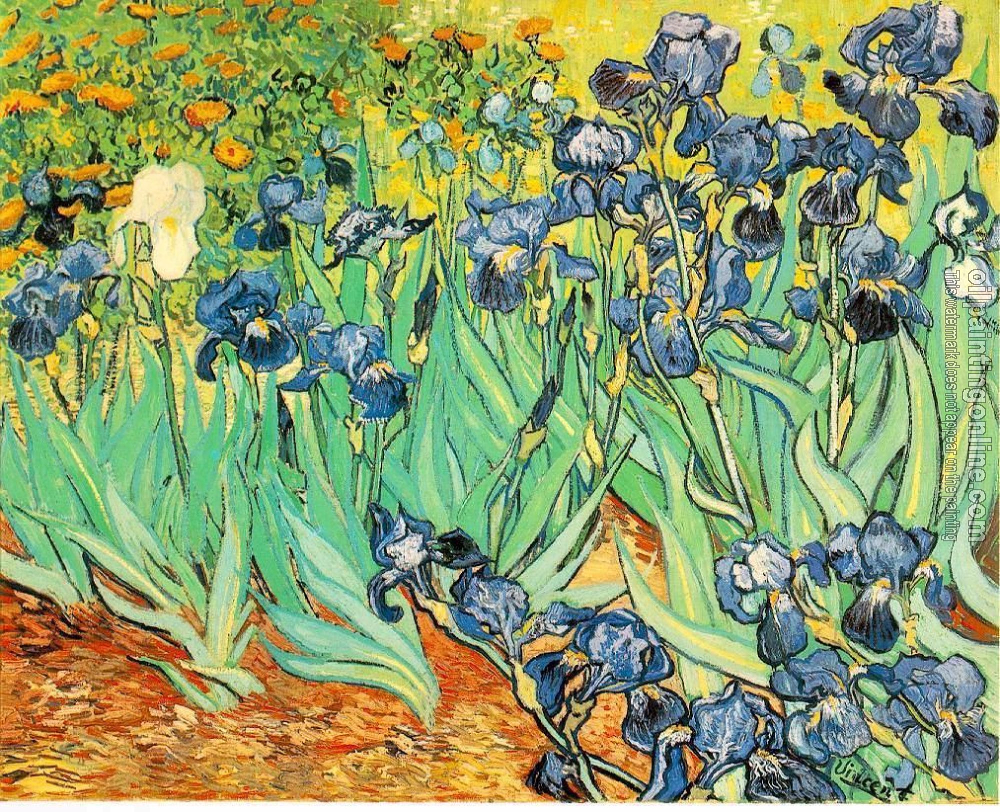 Gogh, Vincent van - Irises